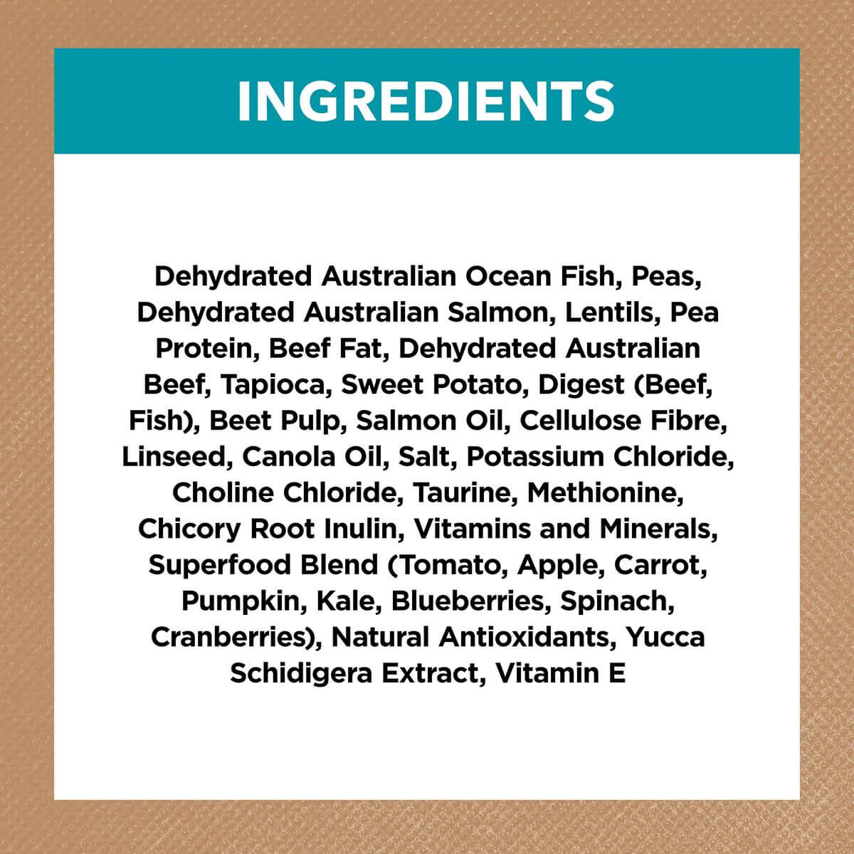 Ivory Coat Grain Free Adult Ocean Fish & Salmon Dry Cat Food - PetPost Australia