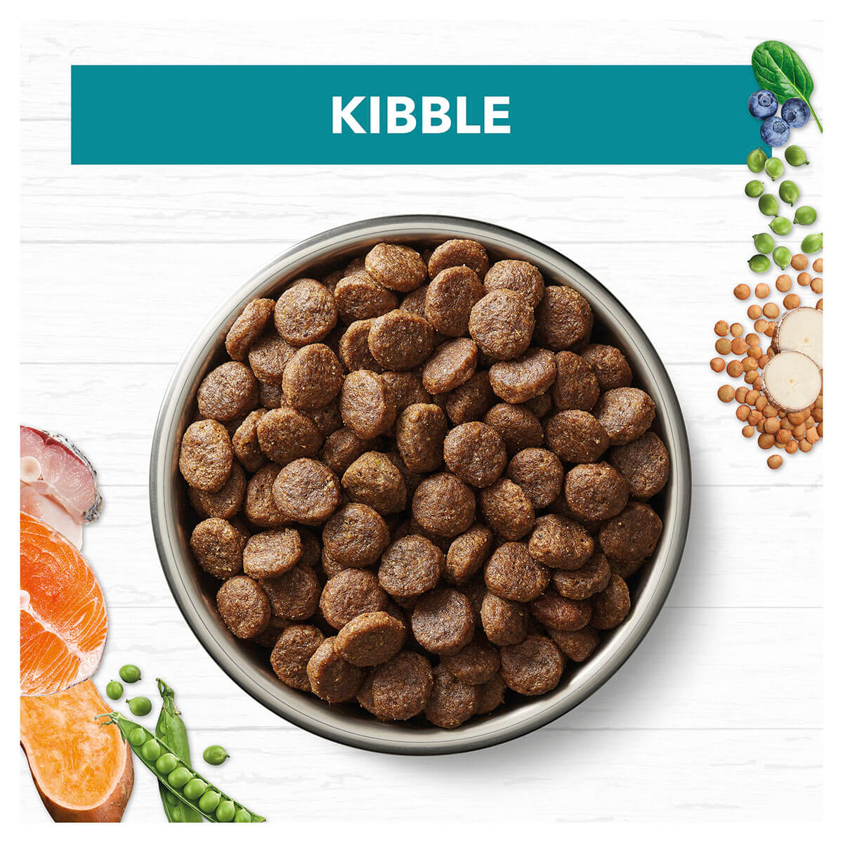 Ivory Coat Grain Free Adult Ocean Fish & Salmon Dry Dog Food - PetPost Australia