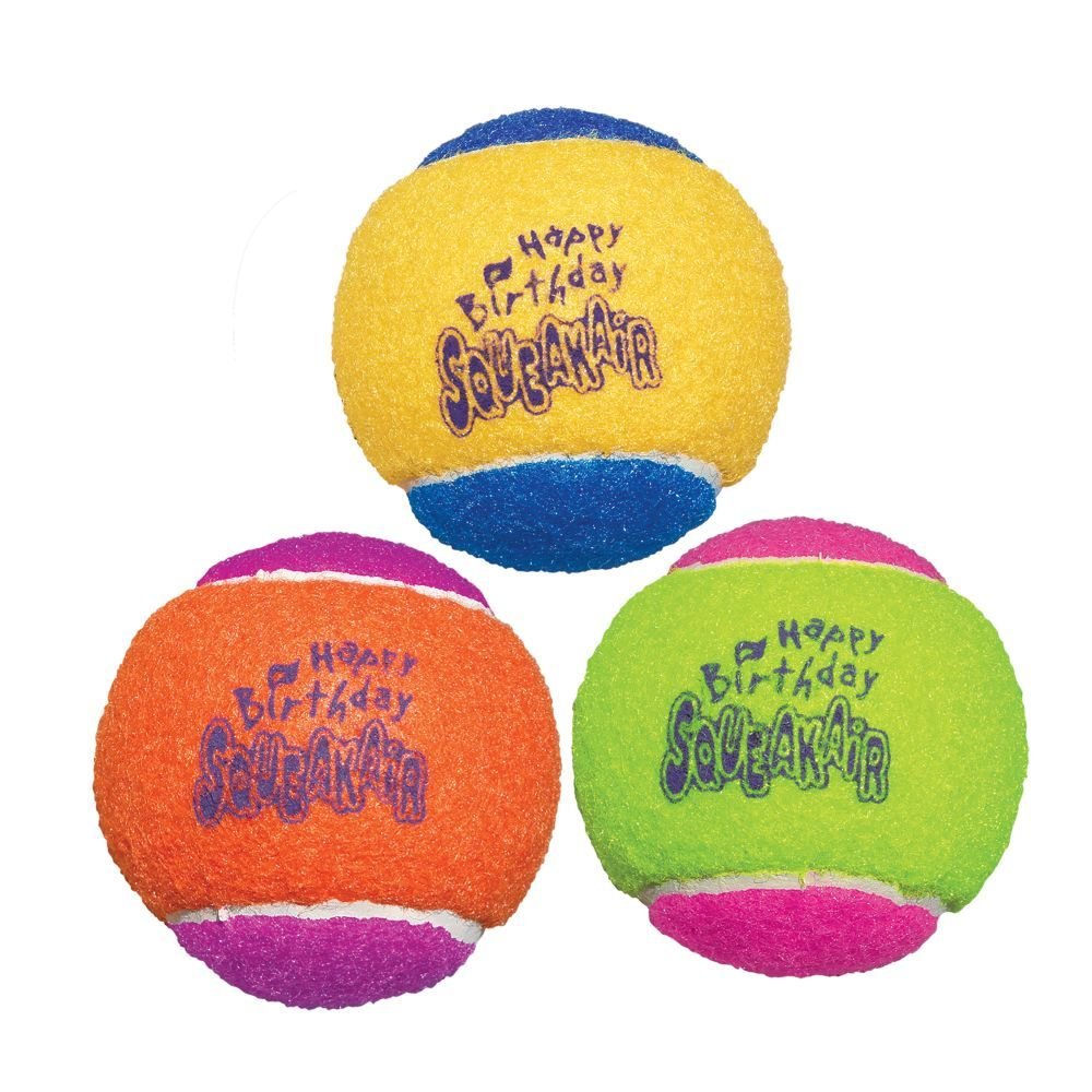 KONG AirDog Squeaker Birthday Balls Dog Toy - PetPost Australia