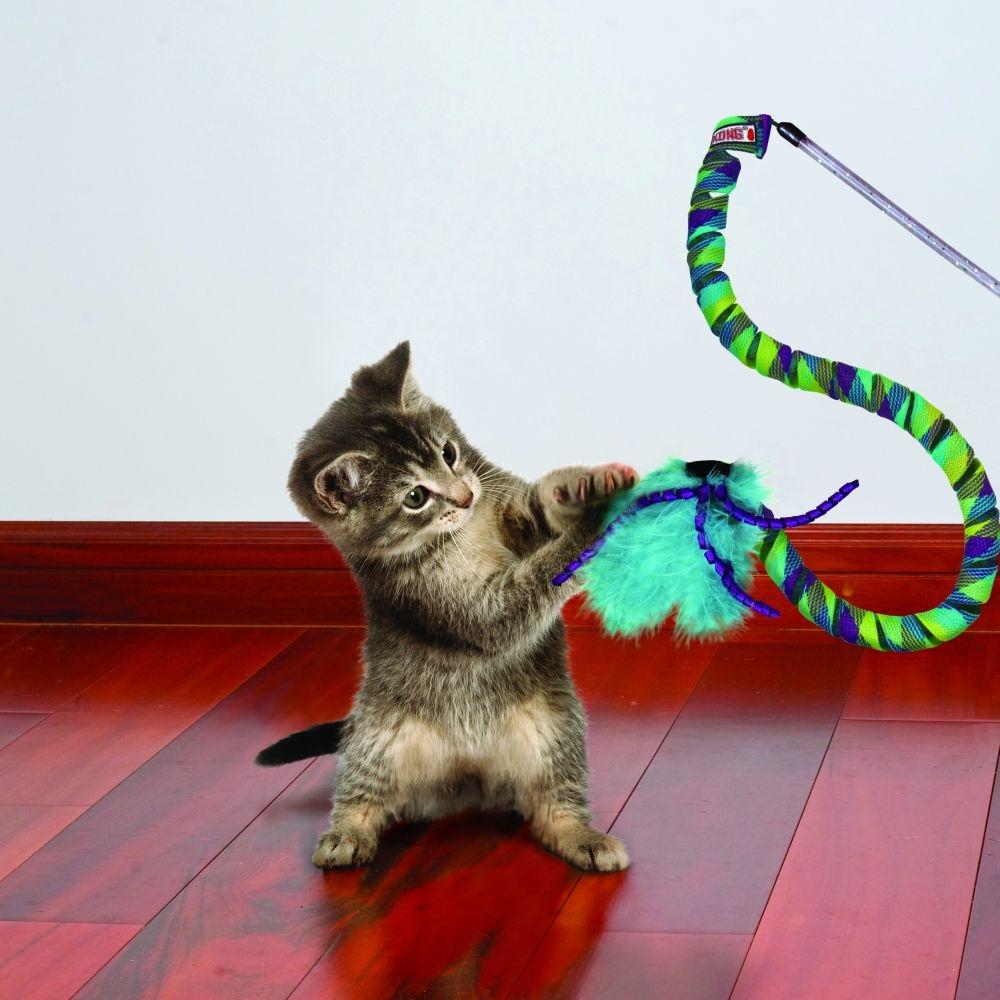 KONG Curlz Teaser Cat Toy - PetPost Australia