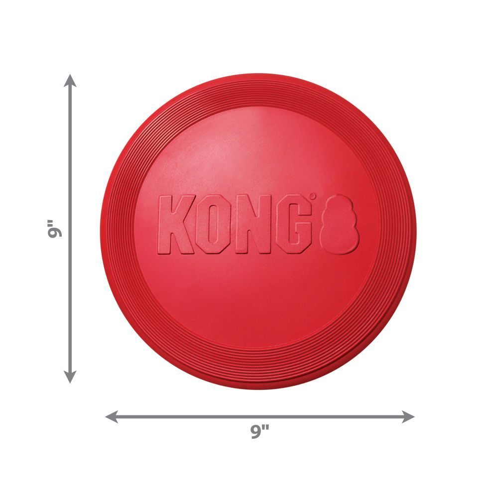 KONG Flyer Dog Toy - PetPost Australia
