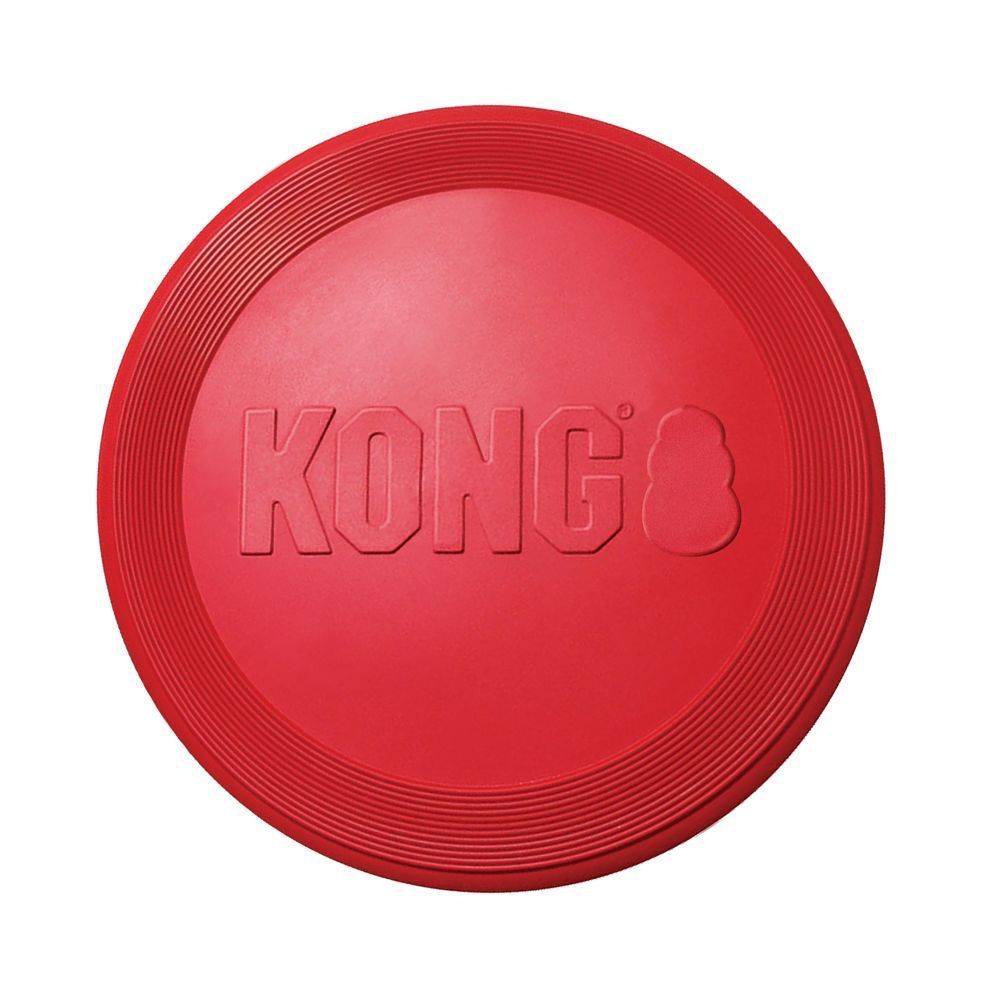 KONG Flyer Dog Toy - PetPost Australia