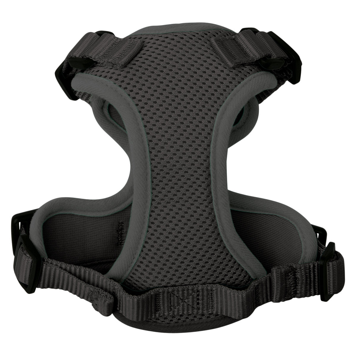 Lexi & Me Cat Harness & Lead Set - PetPost Australia
