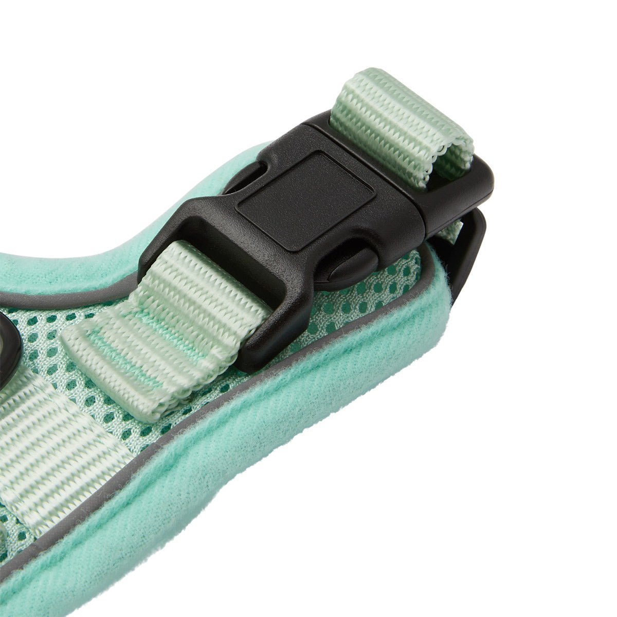 Lexi & Me Cat Harness & Lead Set - PetPost Australia