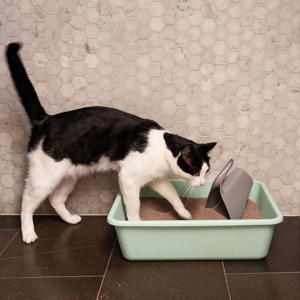 Lexi & Me Rectangle Litter Tray - PetPost Australia
