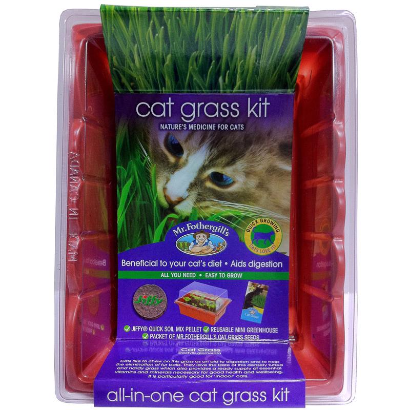 Mr Fothergill's Edible Cat Grass - PetPost Australia
