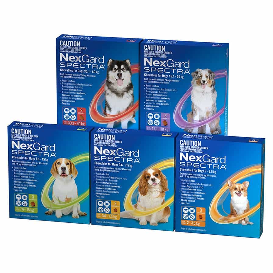 NexGard Spectra For Extra Small Dogs 2-3.5kg - PetPost Australia