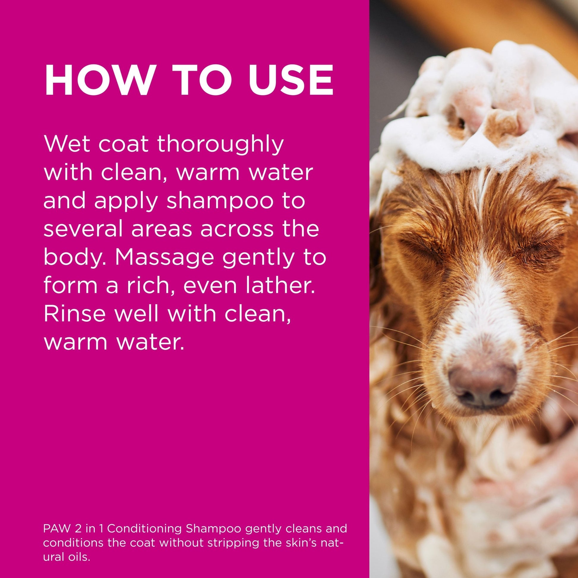 PAW 2 in 1 Conditioning Dog Shampoo - PetPost Australia