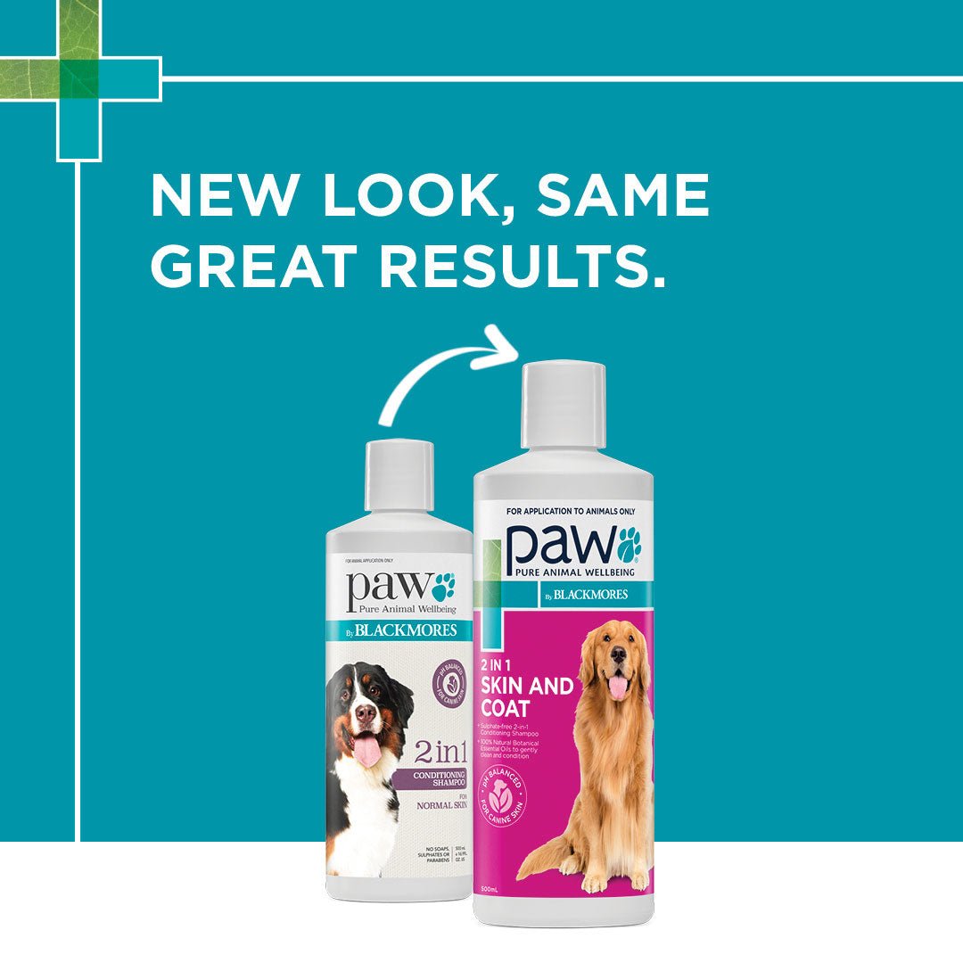 PAW 2 in 1 Conditioning Dog Shampoo - PetPost Australia