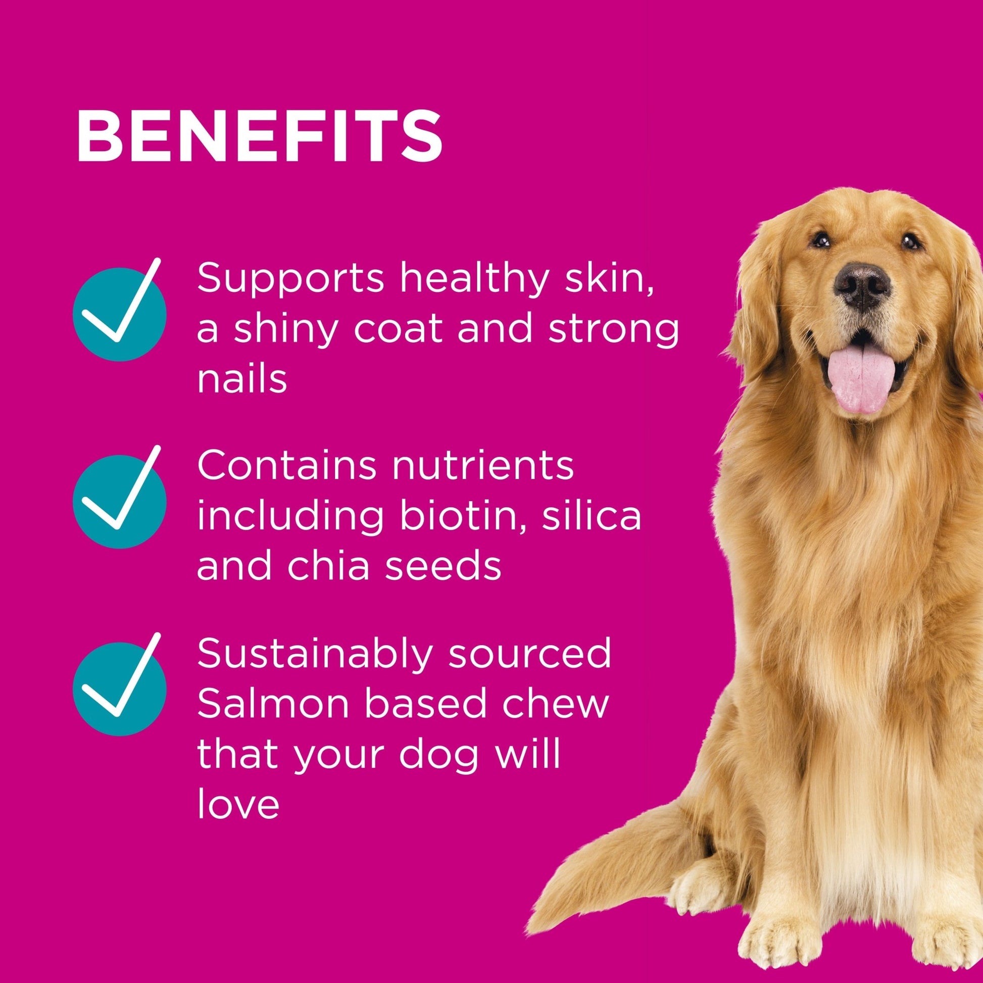 PAW Coat, Skin & Nails Multivitamin Chews 300g - PetPost Australia