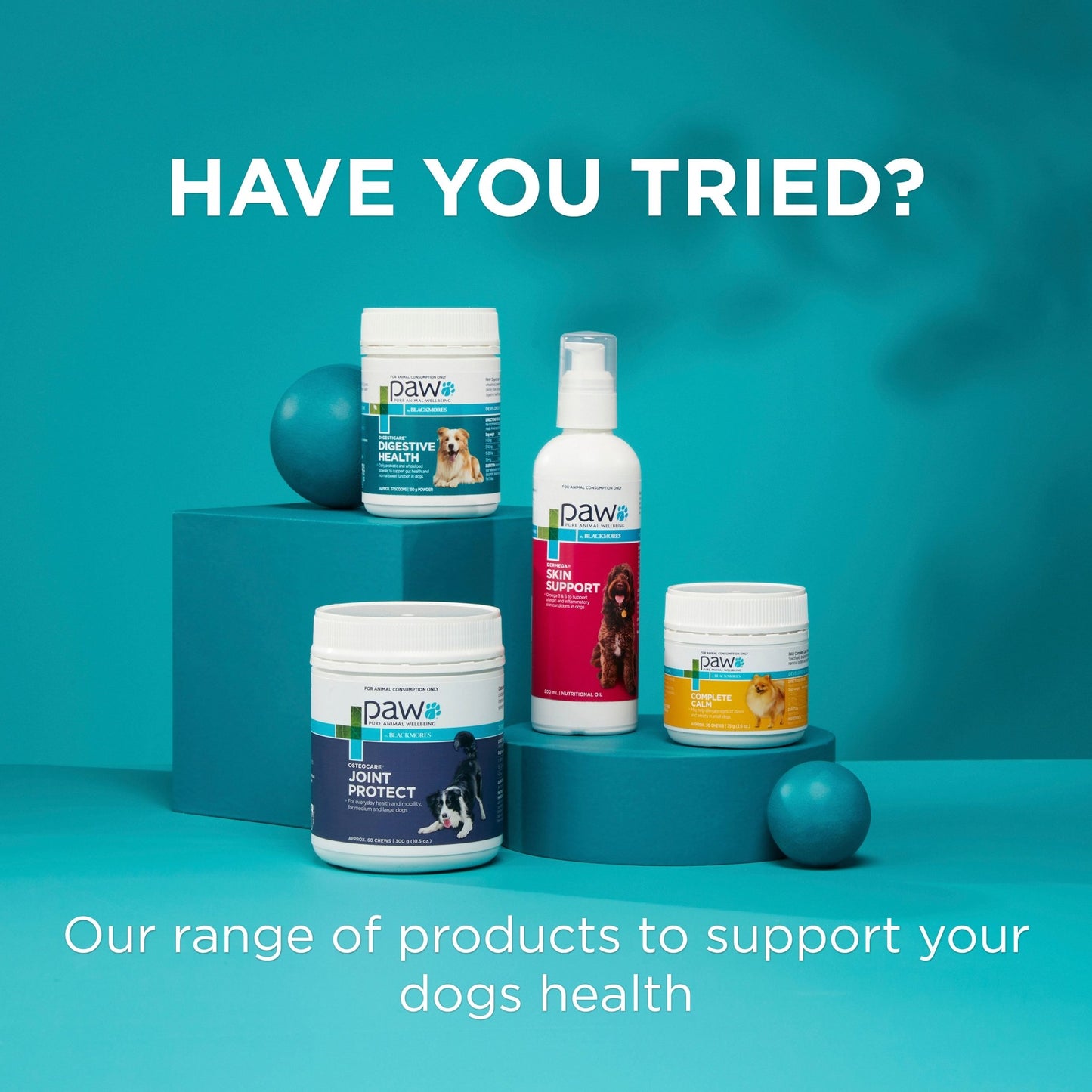 PAW Coat, Skin & Nails Multivitamin Chews 300g - PetPost Australia