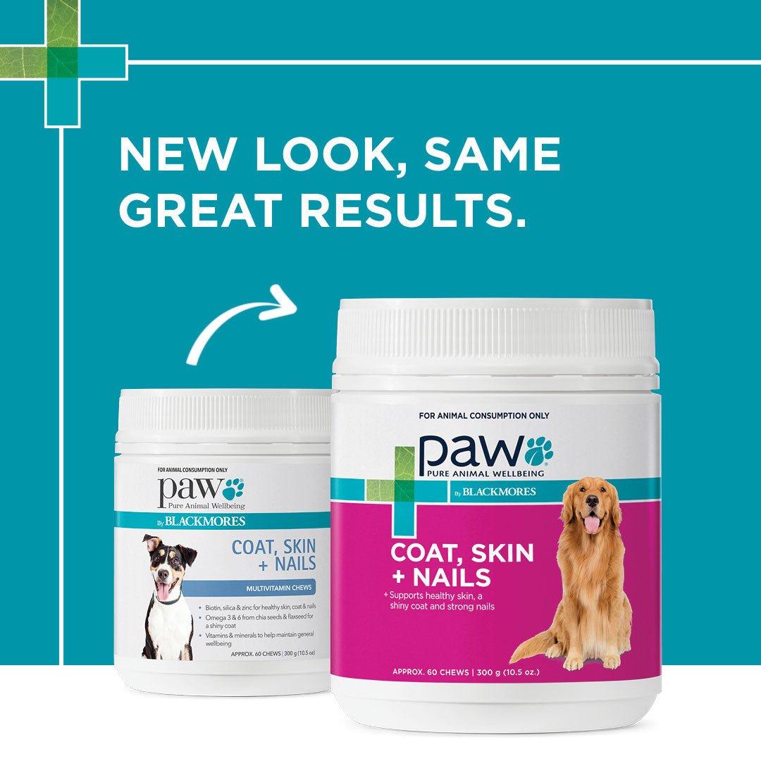 PAW Coat, Skin & Nails Multivitamin Chews 300g - PetPost Australia