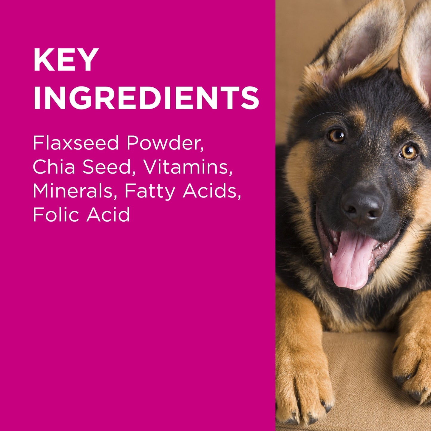 PAW Coat, Skin & Nails Multivitamin Chews 300g - PetPost Australia