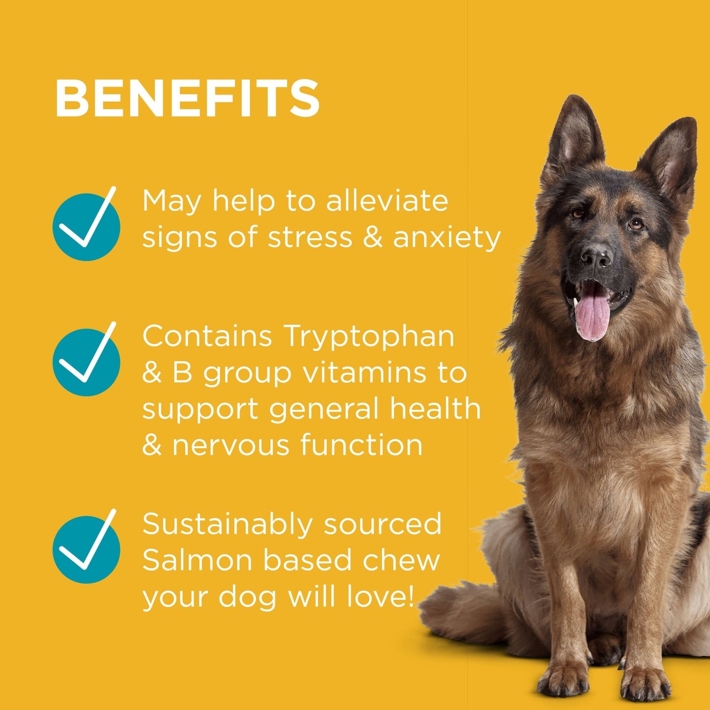 PAW Complete Calm Chews - PetPost Australia