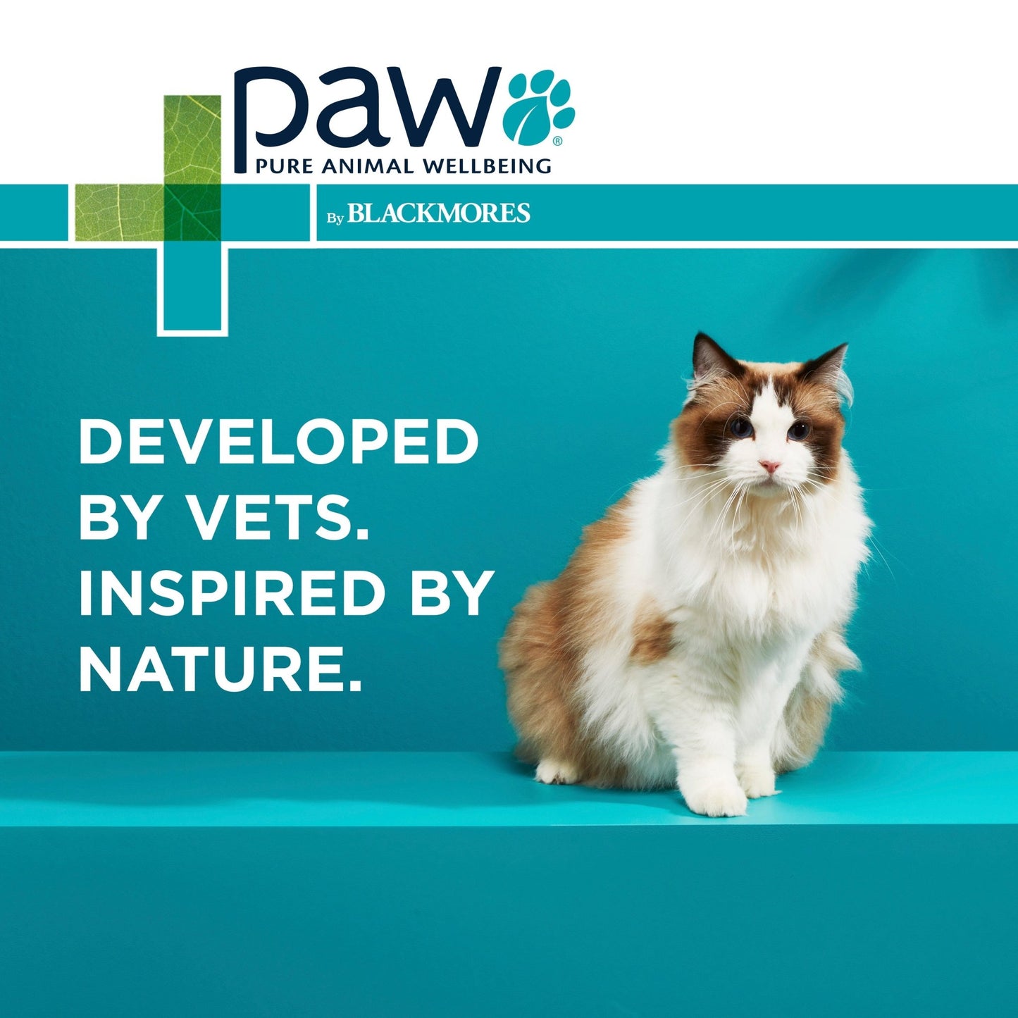 PAW Complete Calm Chews For Cats - PetPost Australia