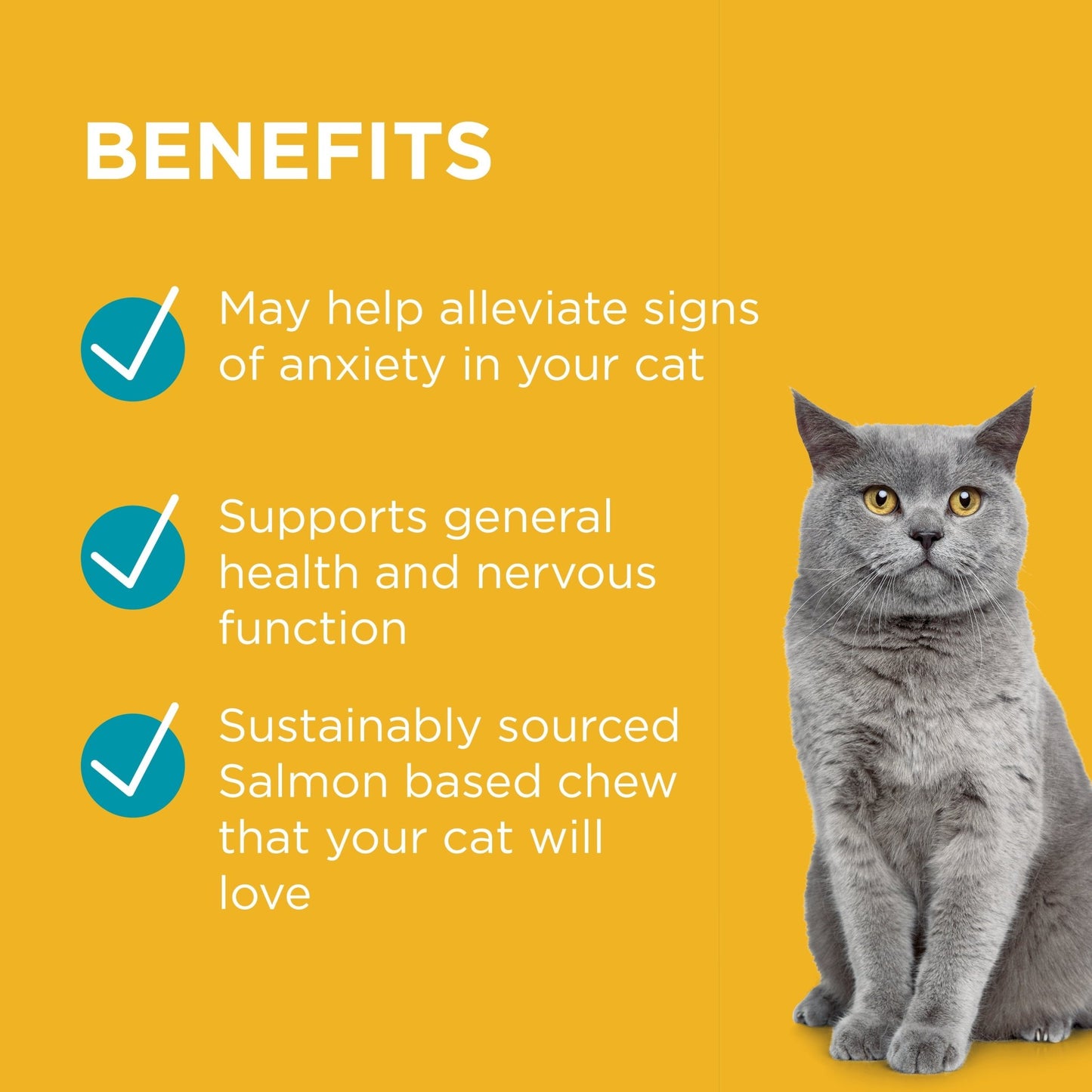PAW Complete Calm Chews For Cats - PetPost Australia