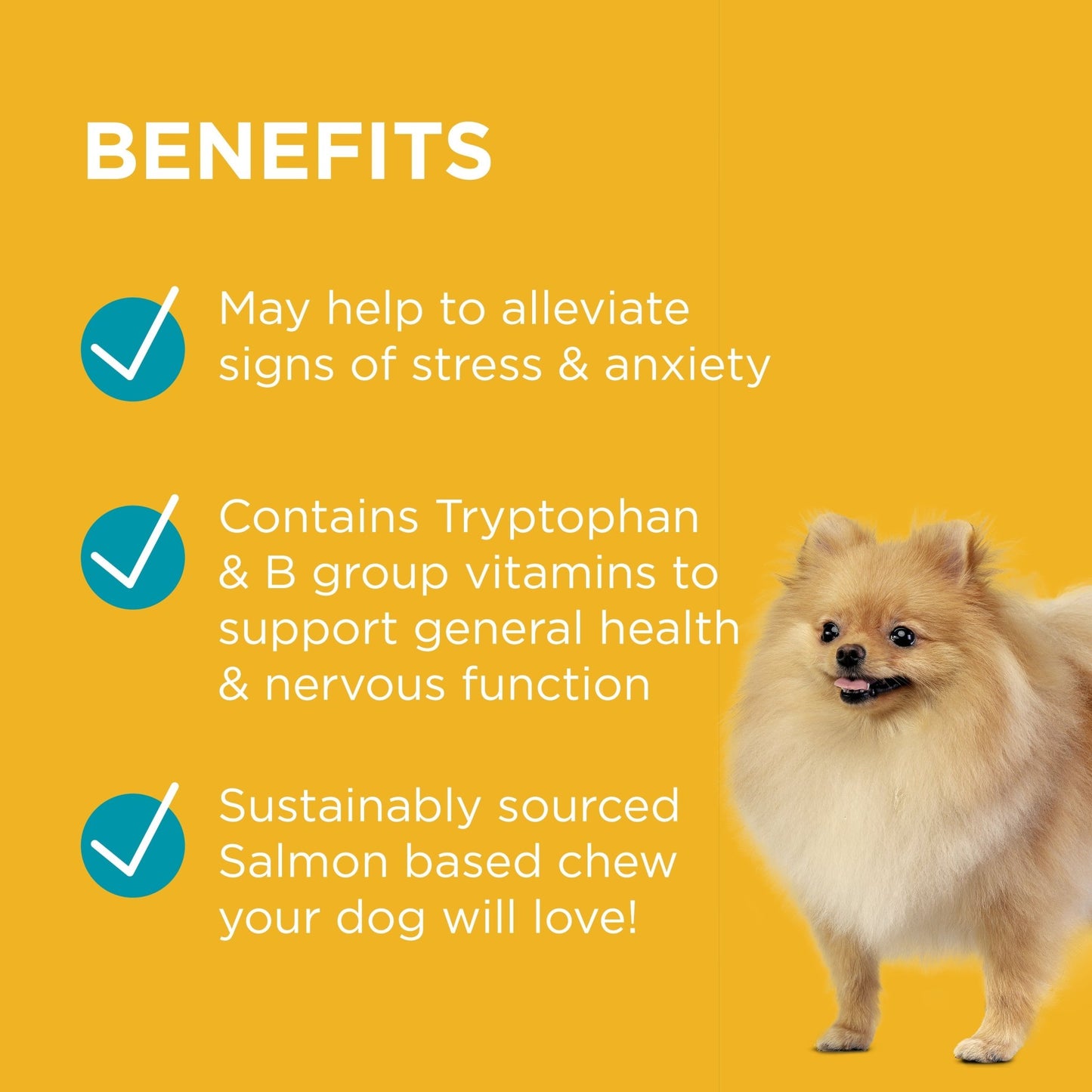 PAW Complete Calm Chews Small Dogs - PetPost Australia