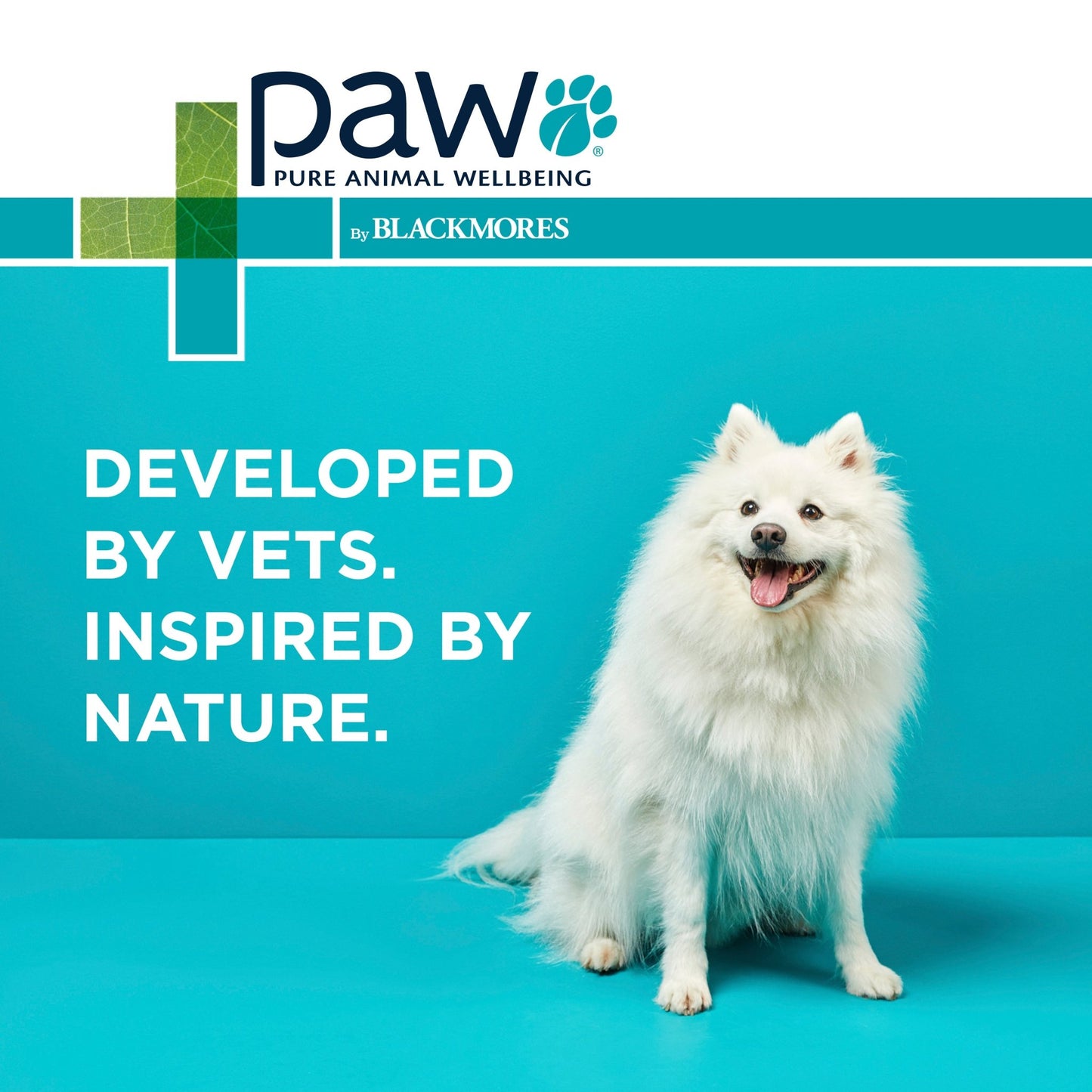 PAW Complete Calm Chews Small Dogs - PetPost Australia