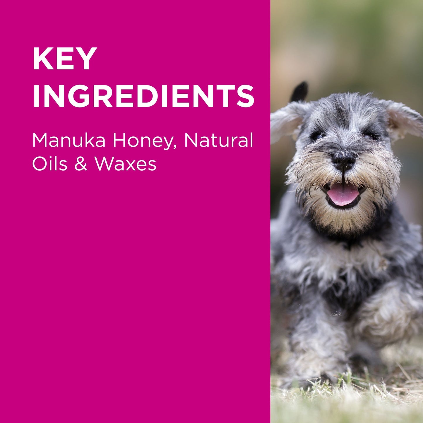 PAW - Manuka Wound Gel - PetPost Australia
