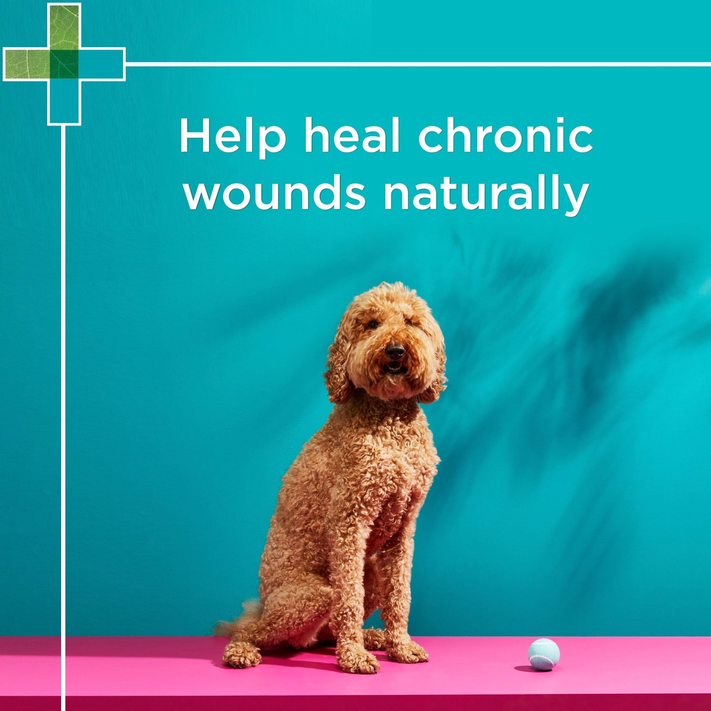 PAW - Manuka Wound Gel - PetPost Australia