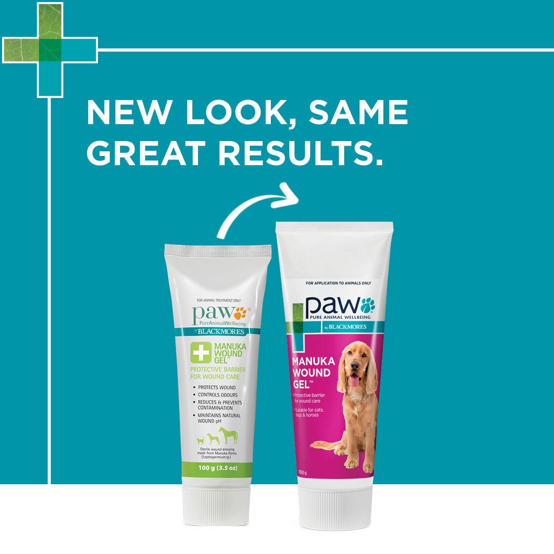 PAW - Manuka Wound Gel - PetPost Australia