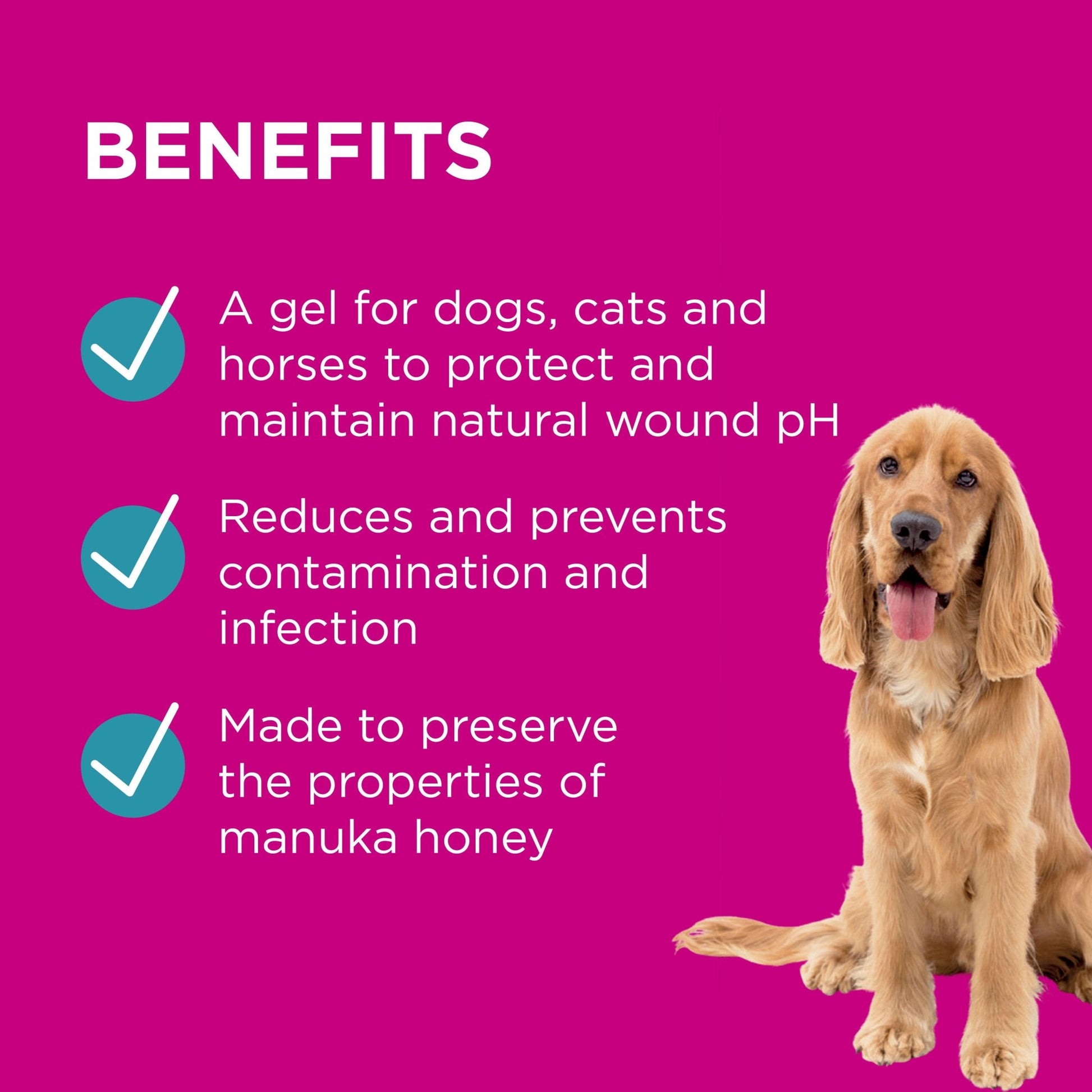 PAW - Manuka Wound Gel - PetPost Australia
