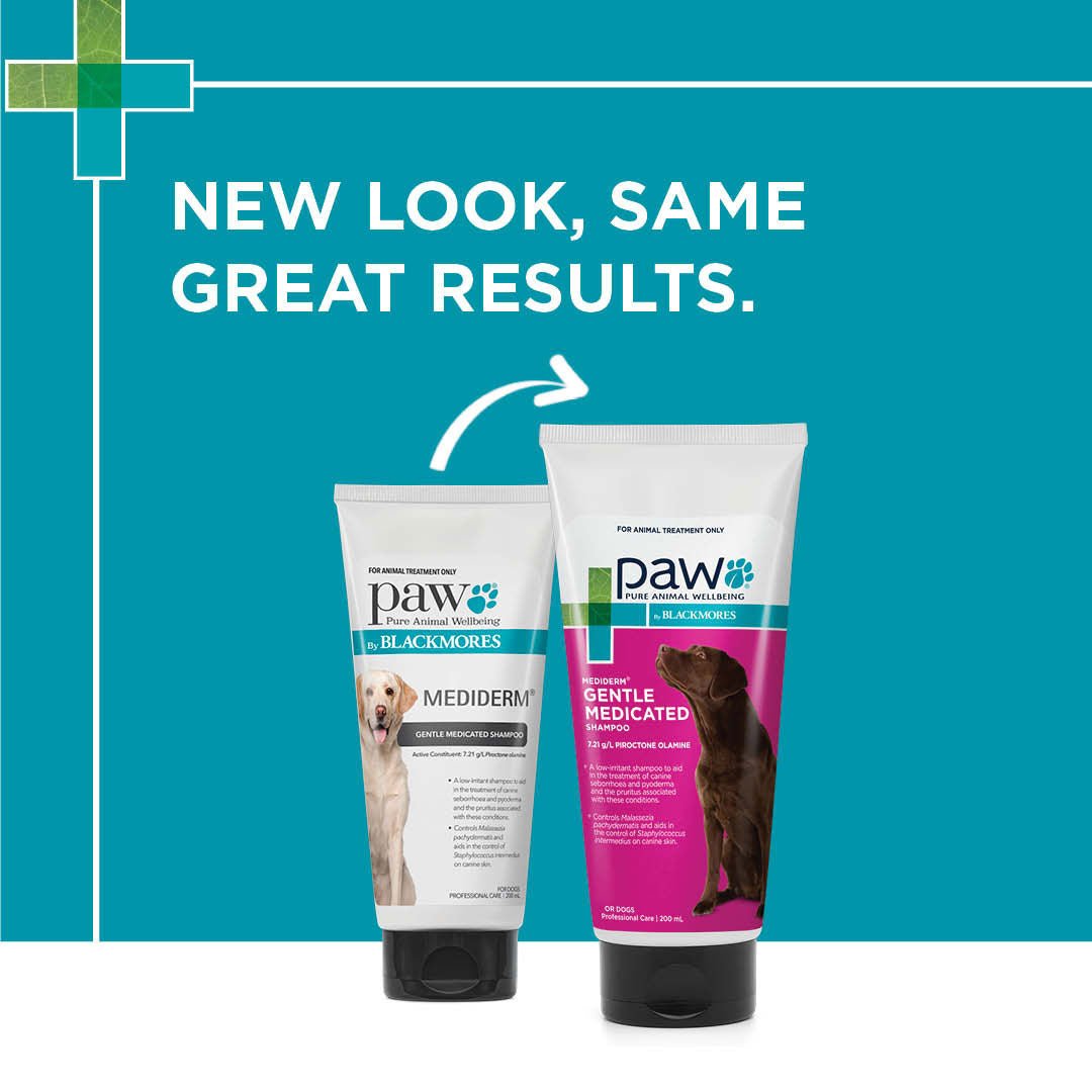 PAW Mediderm Shampoo - PetPost Australia