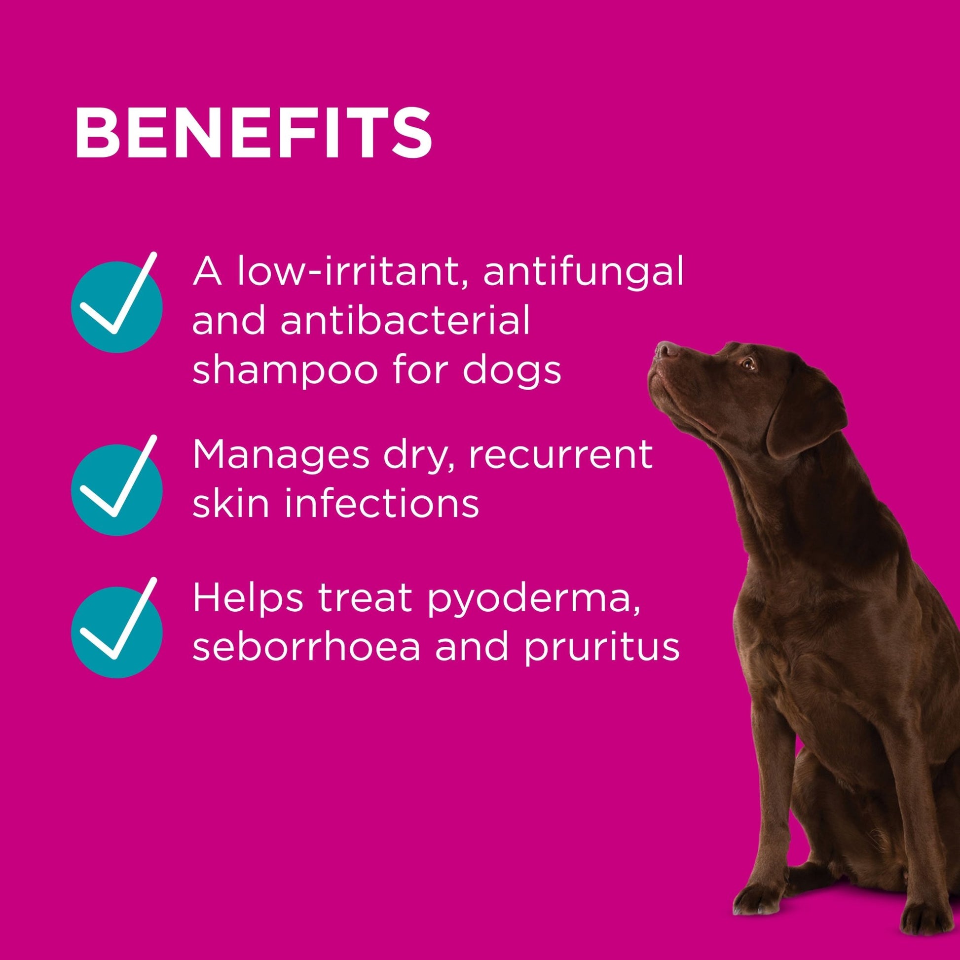 PAW Mediderm Shampoo - PetPost Australia