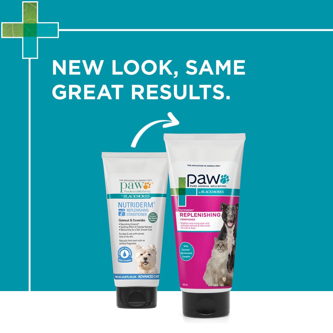 PAW NutriDerm Replenishing Conditioner - PetPost Australia