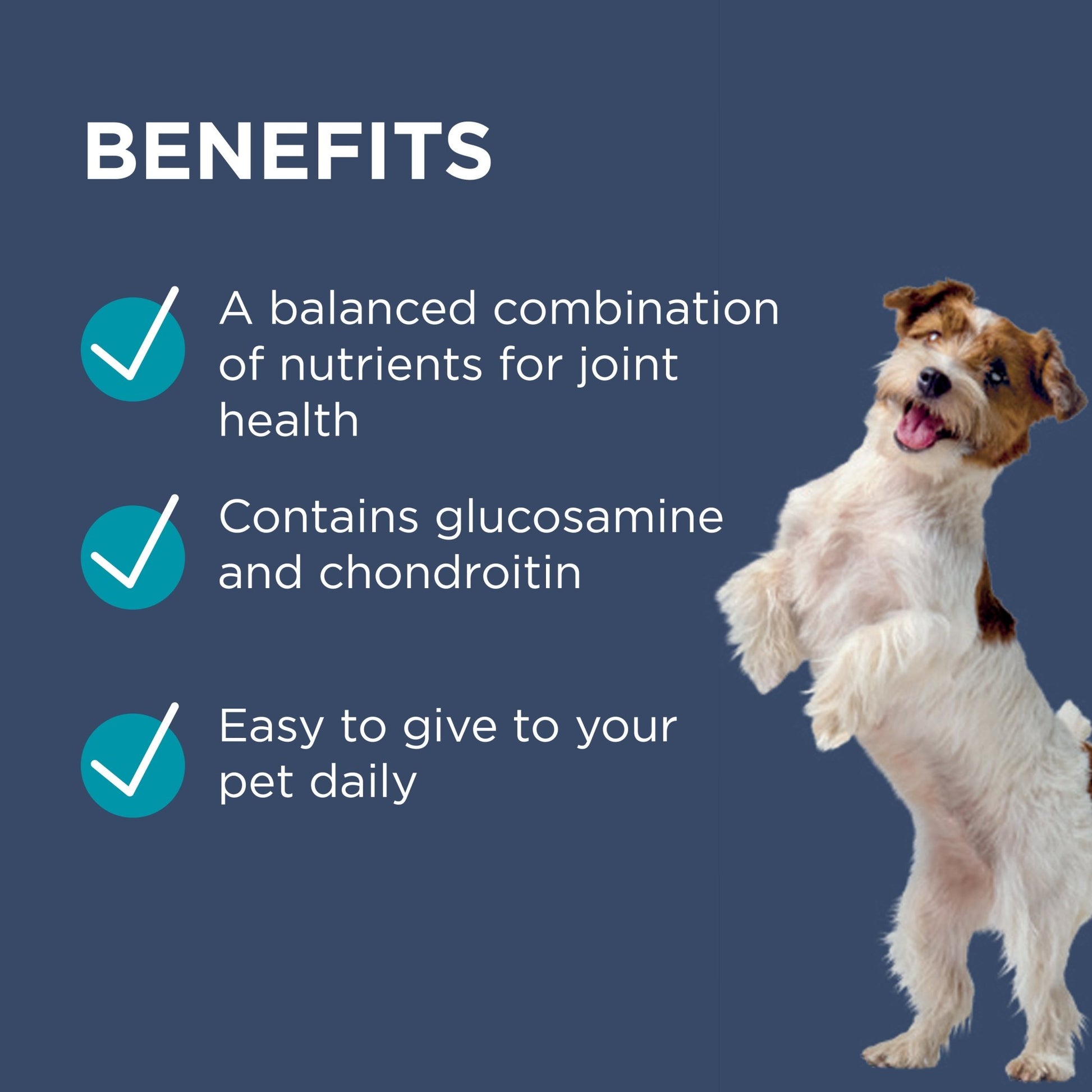 PAW Osteocare Chews Small Dogs - PetPost Australia