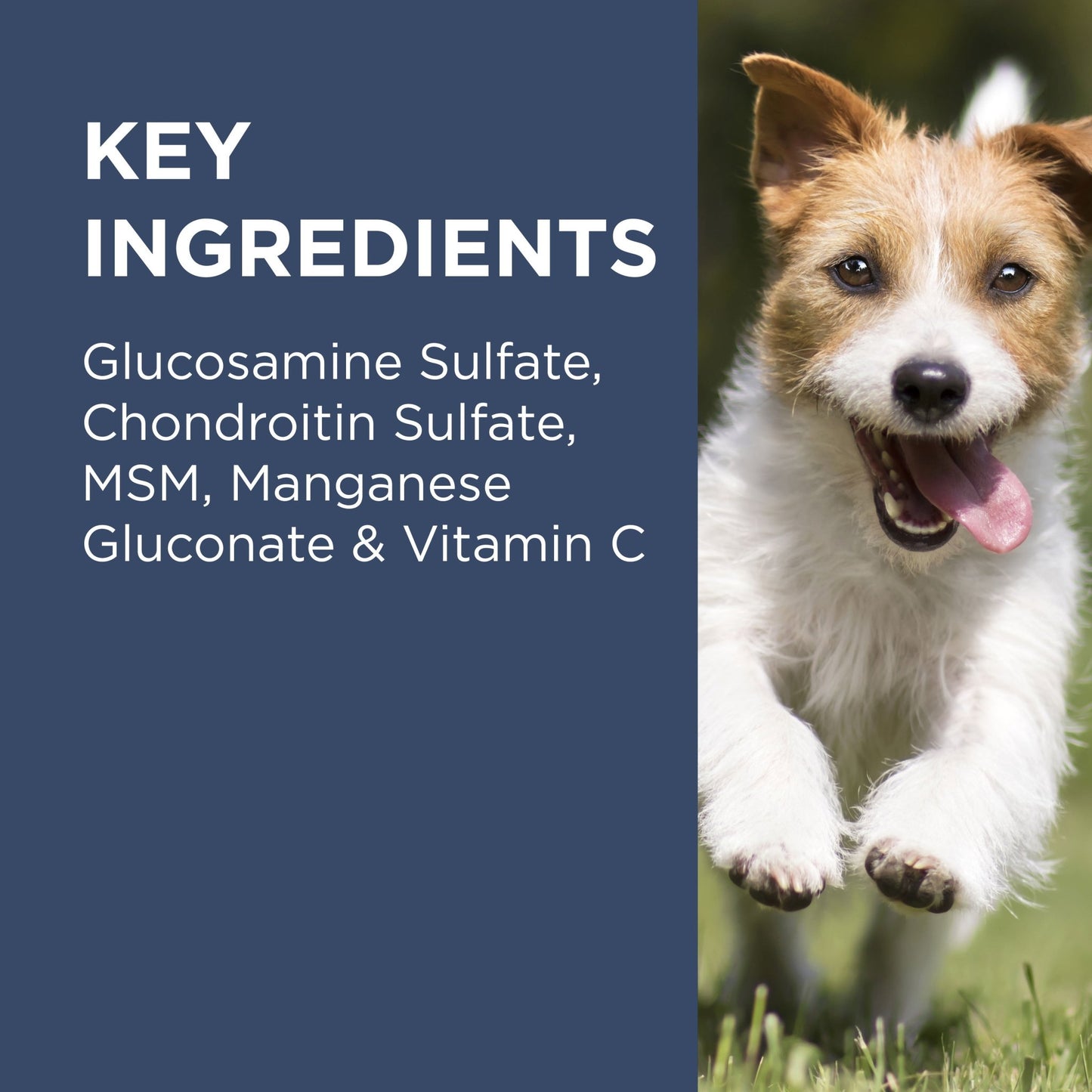 PAW Osteocare Joint Health Chews - PetPost Australia