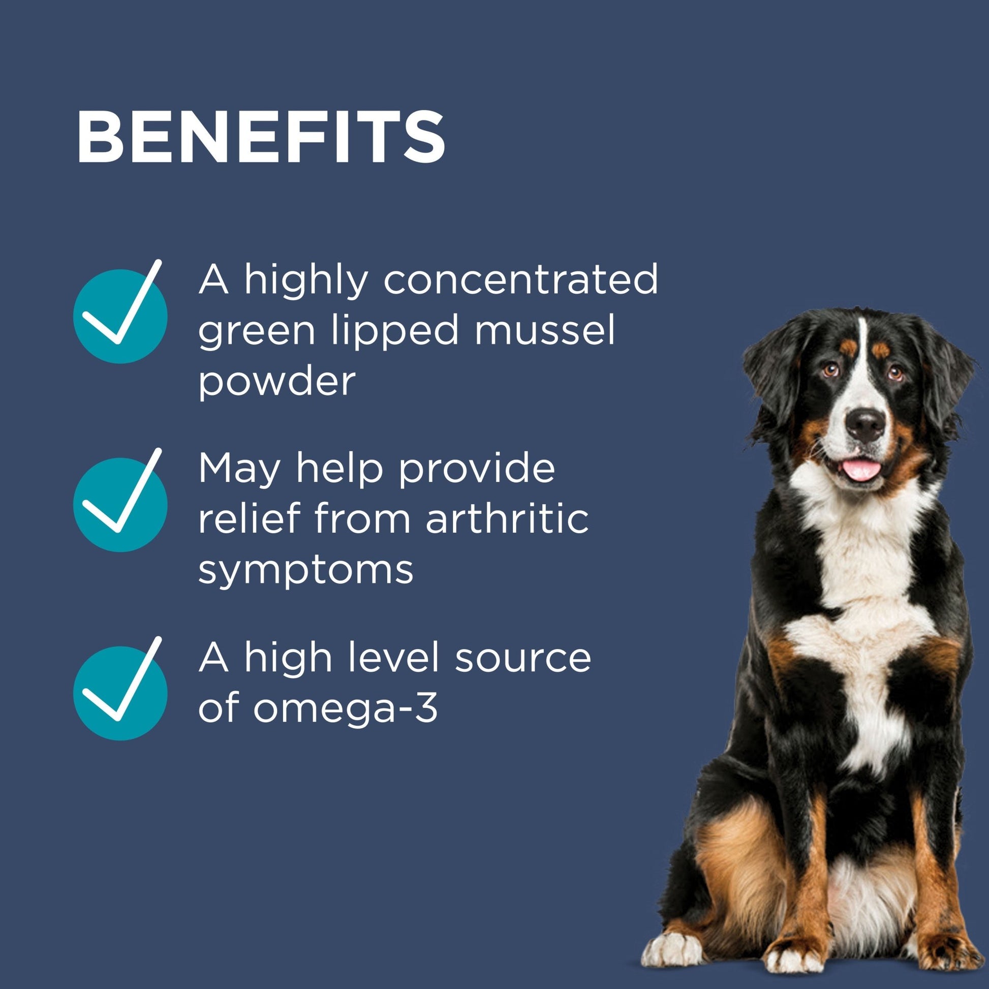 PAW Osteosupport Joint Care Capsules for Dogs - PetPost Australia