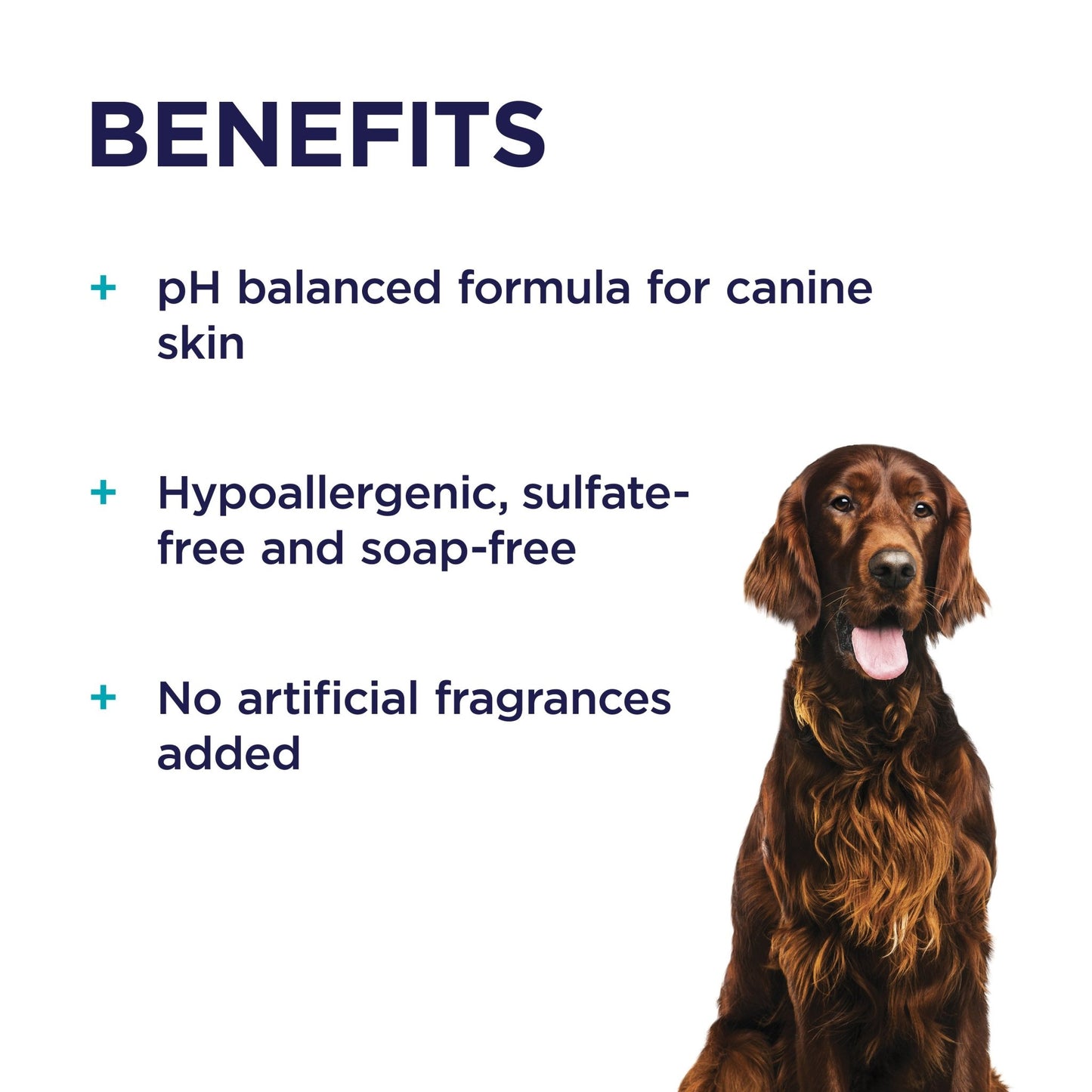 PAW Sensitive Skin Shampoo - PetPost Australia