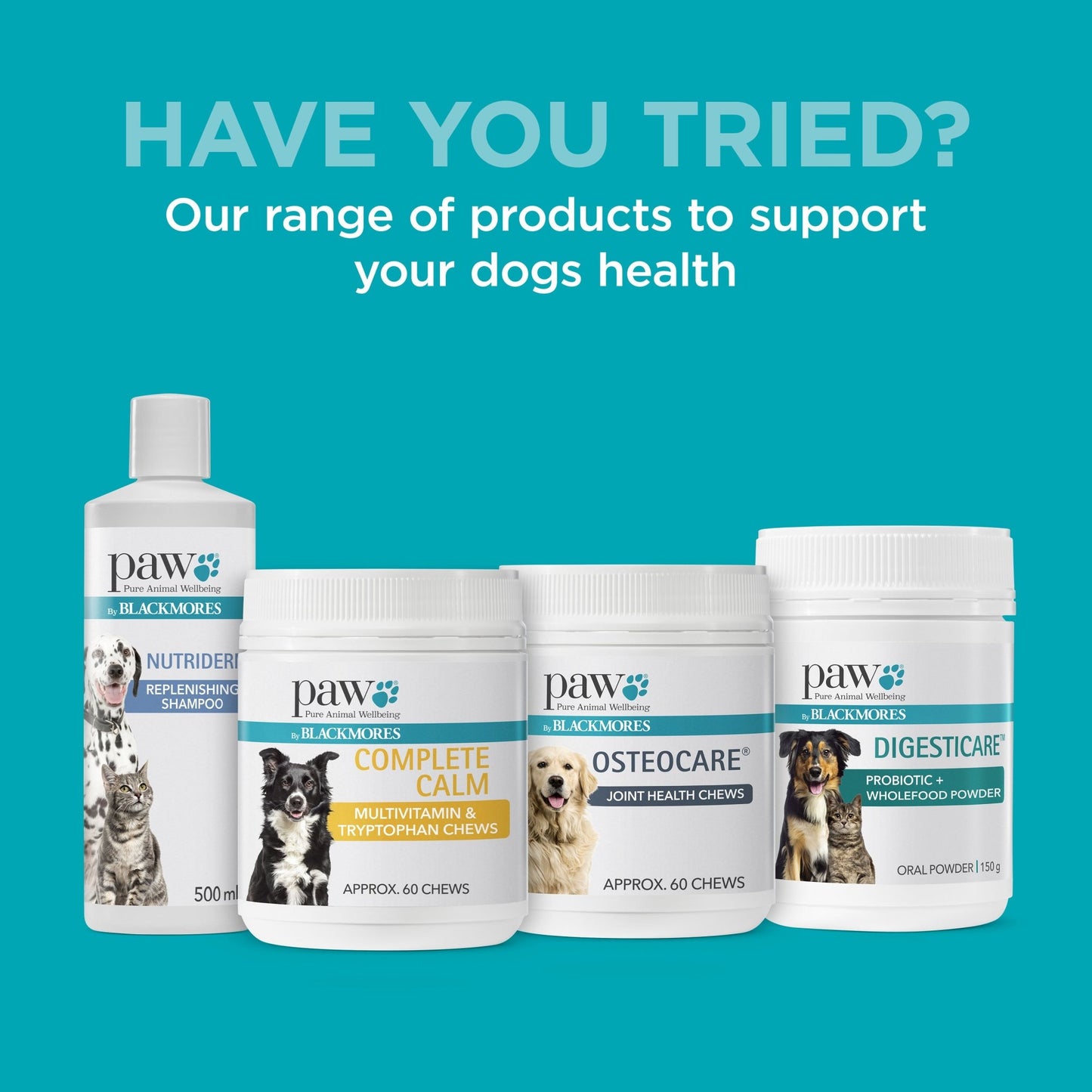 PAW Sensitive Skin Shampoo - PetPost Australia