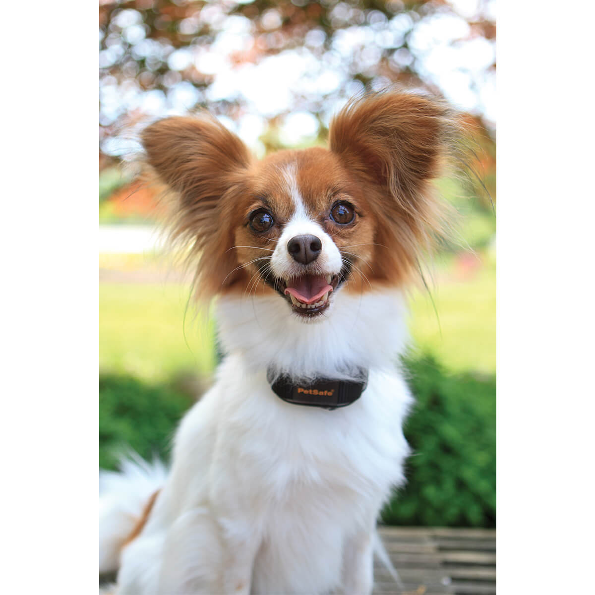 PetSafe VBC-10 Vibraction Bark Control Collar - PetPost Australia