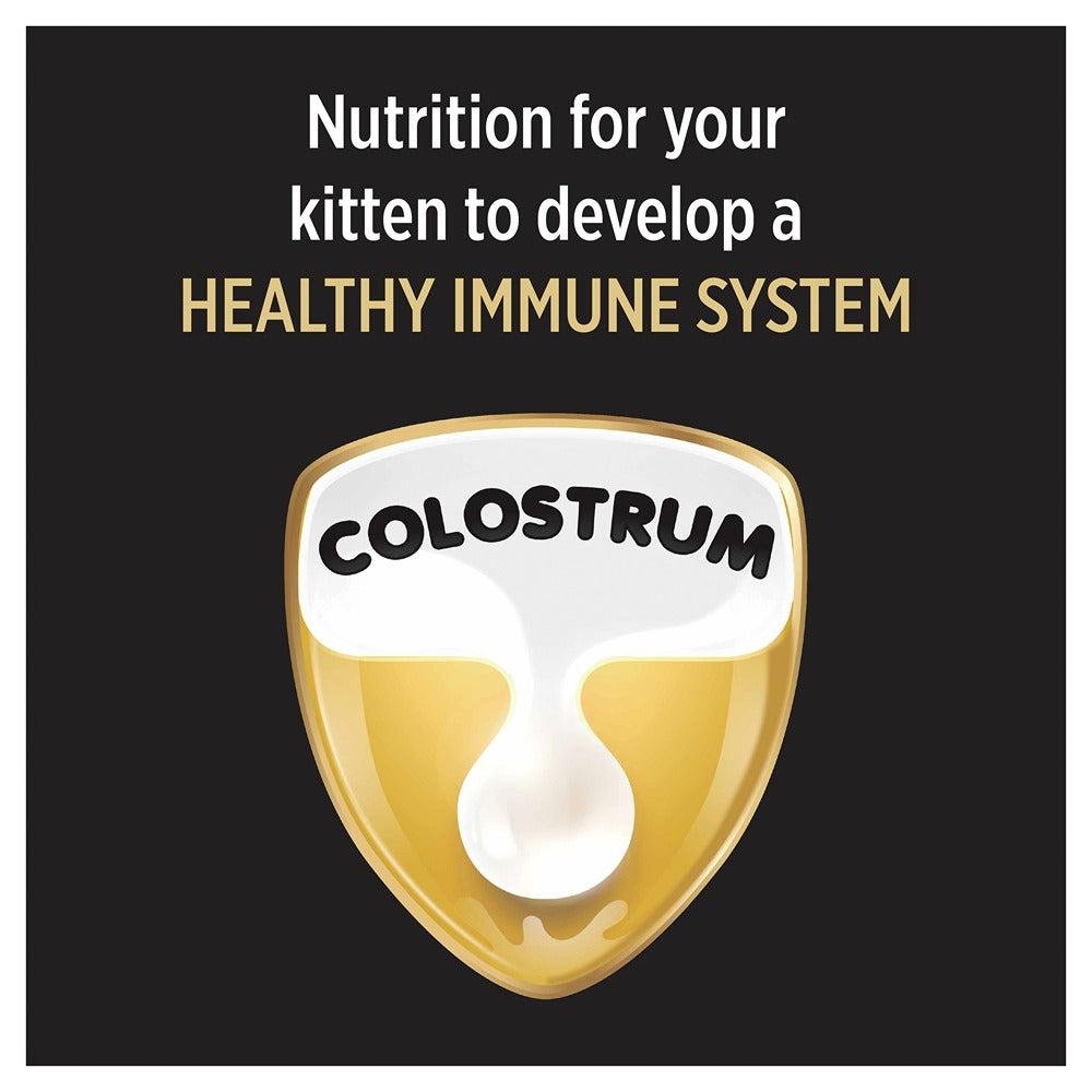 Pro Plan Kitten Dry Cat Food - PetPost Australia