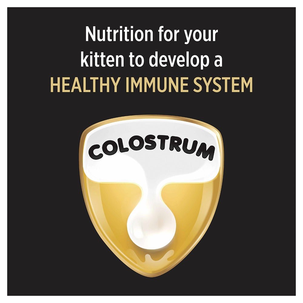 Pro Plan Kitten Dry Cat Food - PetPost Australia