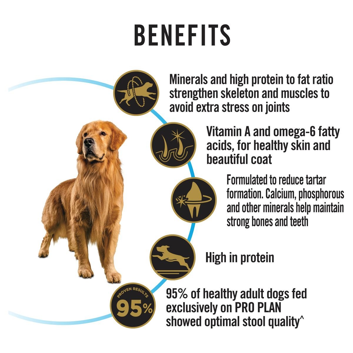 Pro Plan Large Breed Adult Chicken Formula with Probiotics - PetPost Australia