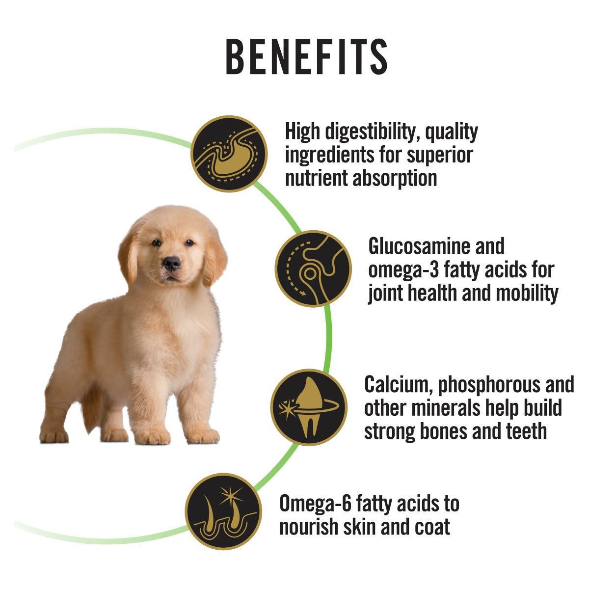 Pro Plan Large Breed Puppy Chicken Formula with Colostrum & Probiotic - PetPost Australia