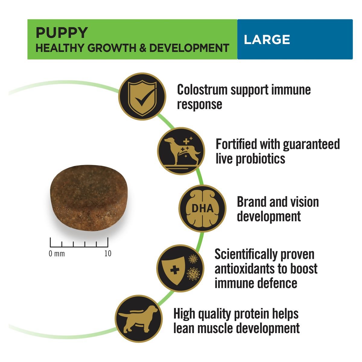 Pro Plan Large Breed Puppy Chicken Formula with Colostrum & Probiotic - PetPost Australia