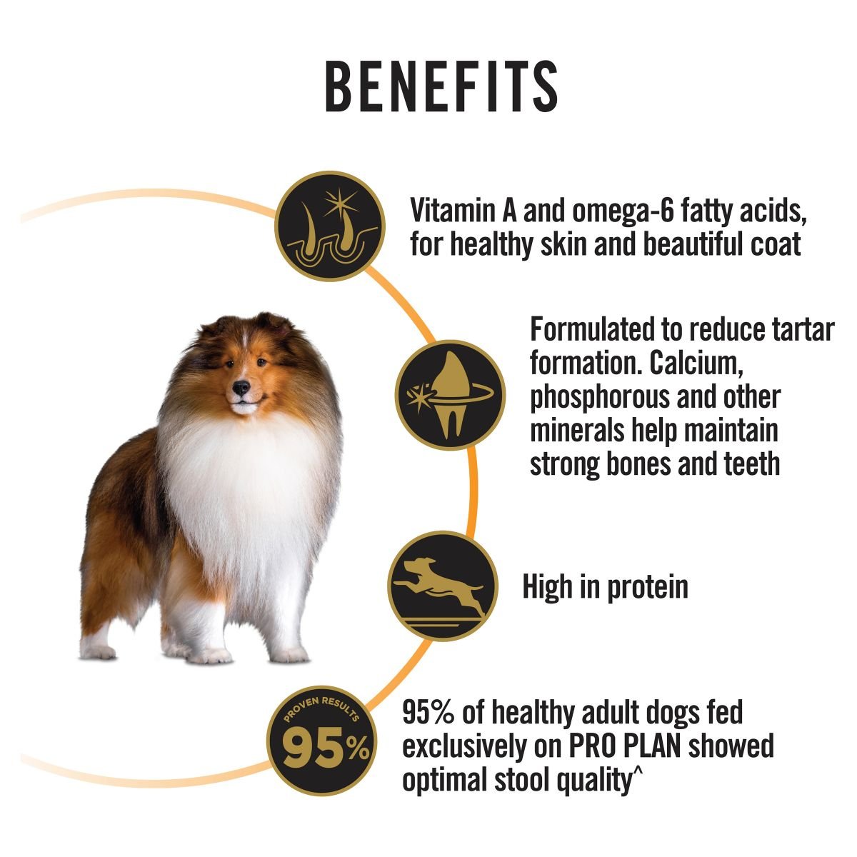 Pro Plan Medium Breed Adult Chicken Formula with Probiotics - PetPost Australia