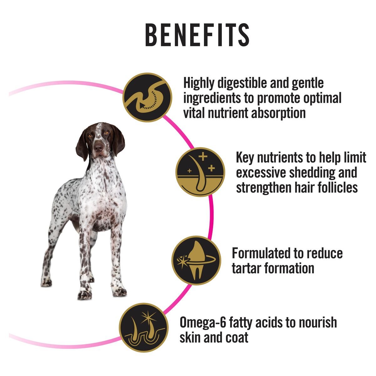 Pro Plan Medium/Large Breed Adult Sensitive Skin & Stomach Formula - PetPost Australia