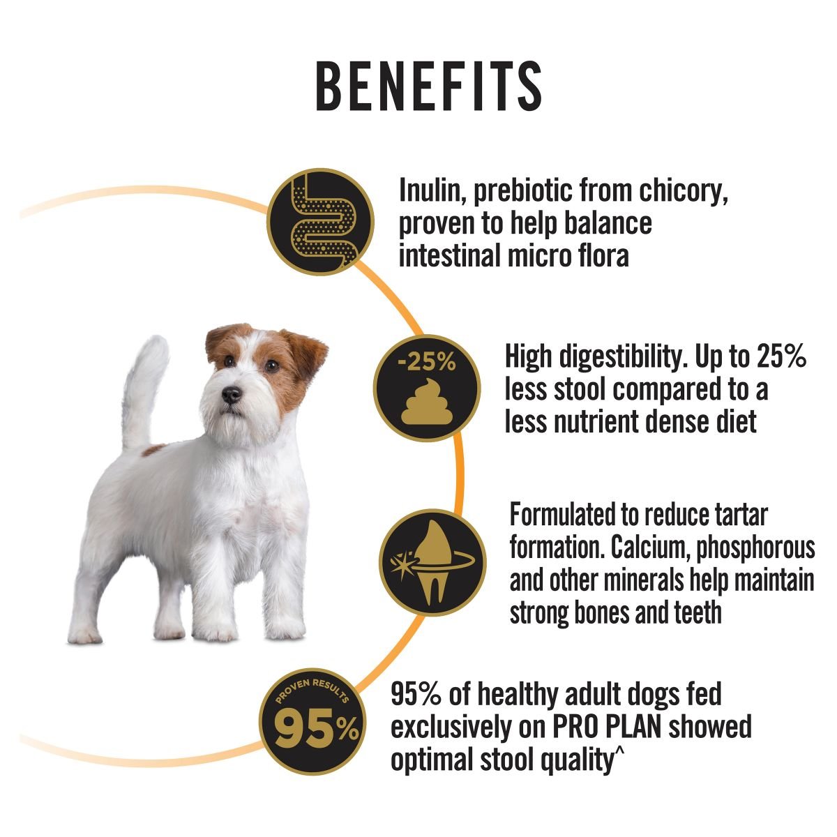 Pro Plan Small/Toy Adult Chicken Formula with Probiotics - PetPost Australia