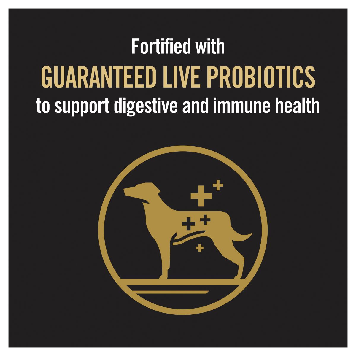 Pro Plan Small/Toy Adult Chicken Formula with Probiotics - PetPost Australia