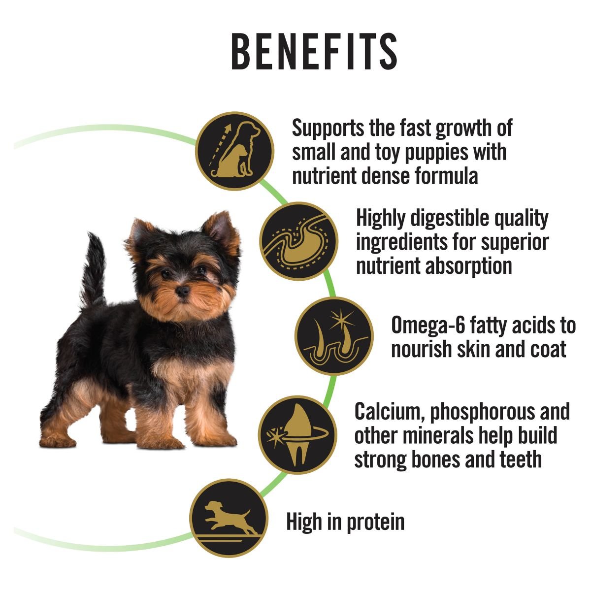 Pro Plan Small/Toy Puppy Chicken Formula with Colostrum & Probiotics - PetPost Australia