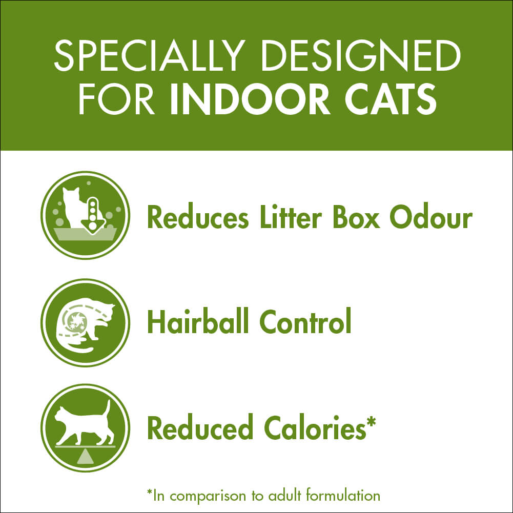 Purina One Adult Indoor Chicken Dry Cat Food - PetPost Australia