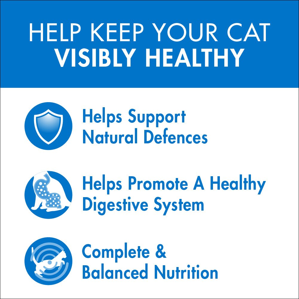 Purina One Adult Ocean Fish Wet Cat Food - PetPost Australia