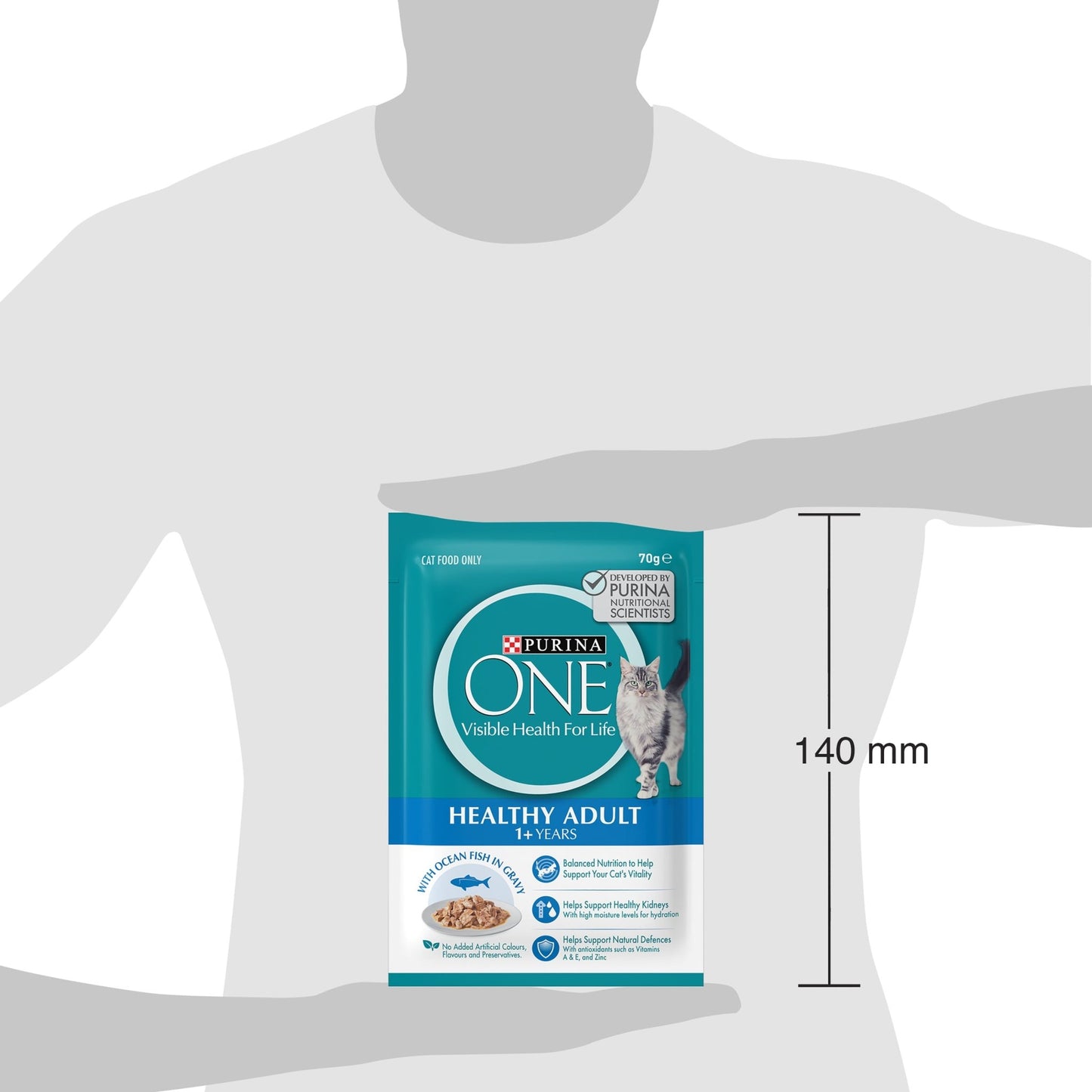 Purina One Adult Ocean Fish Wet Cat Food - PetPost Australia