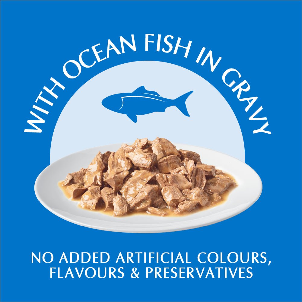 Purina One Adult Ocean Fish Wet Cat Food - PetPost Australia