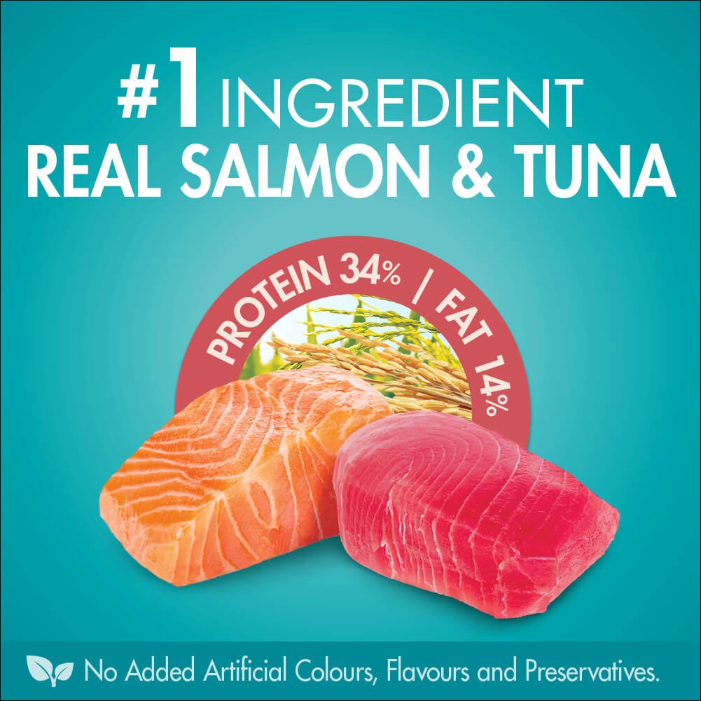 Purina One Adult Salmon and Tuna Dry Cat Food 3Kg - PetPost Australia